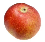 Apfelsorte Reitländer